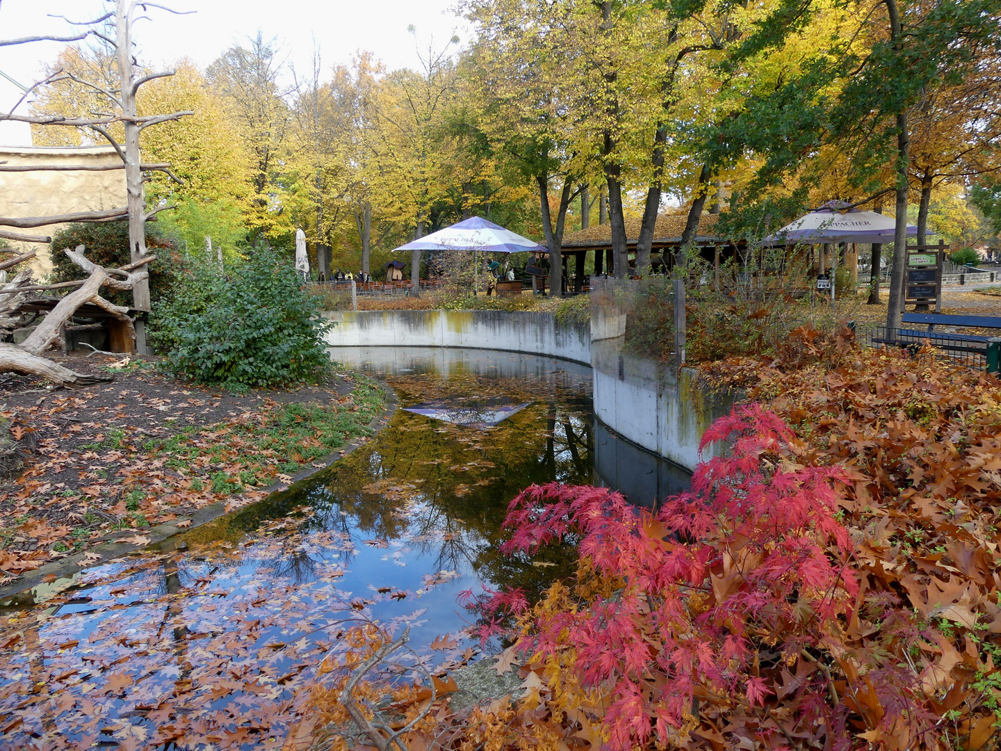 Herbst im Zoo