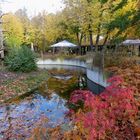 Herbst im Zoo