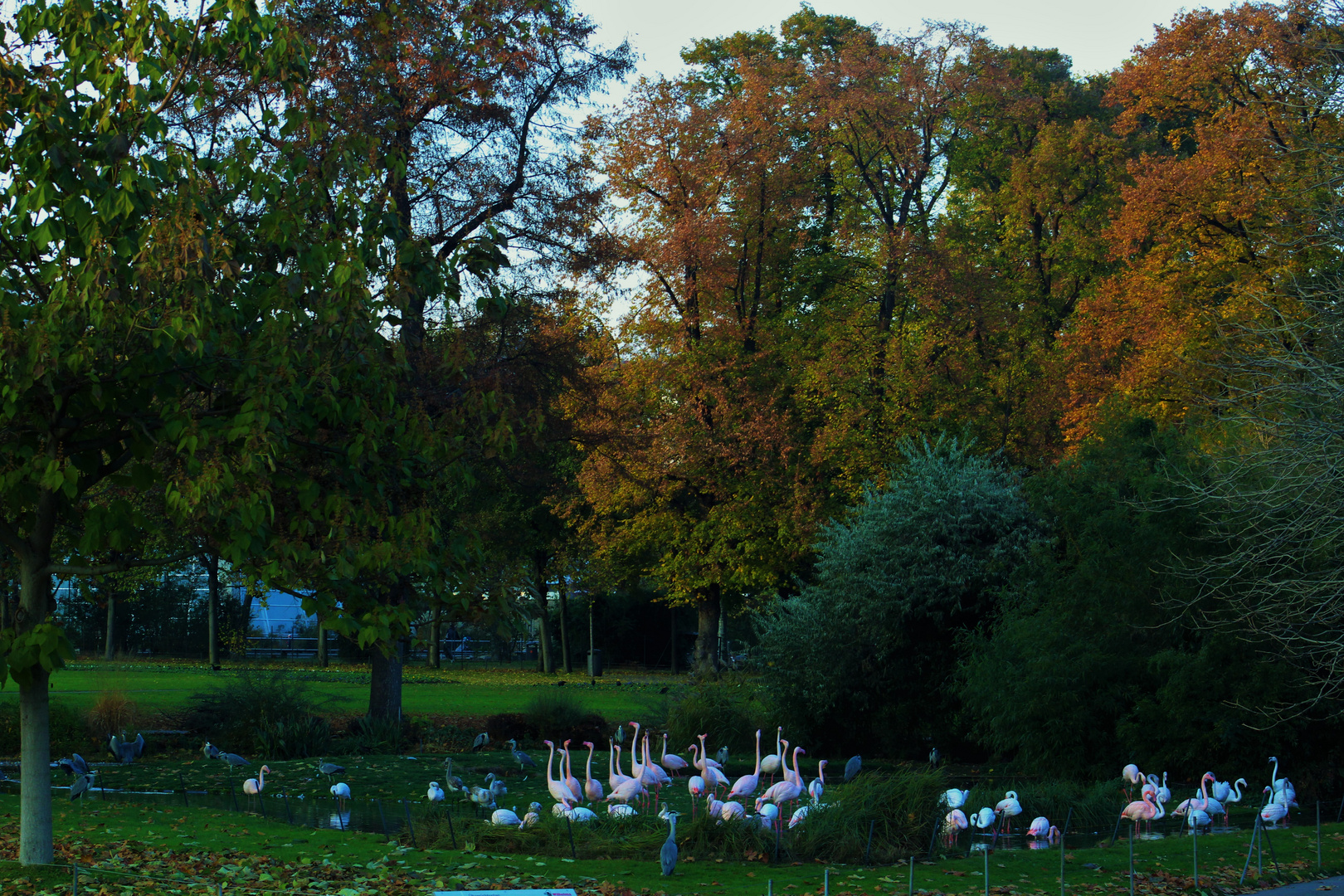 Herbst im Zoo