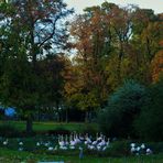 Herbst im Zoo