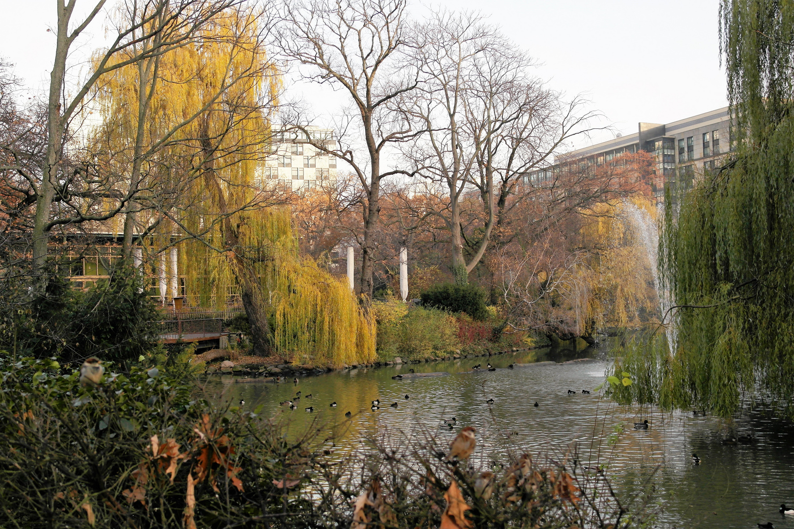 Herbst im Zoo  am Ententeich