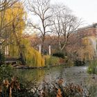 Herbst im Zoo  am Ententeich