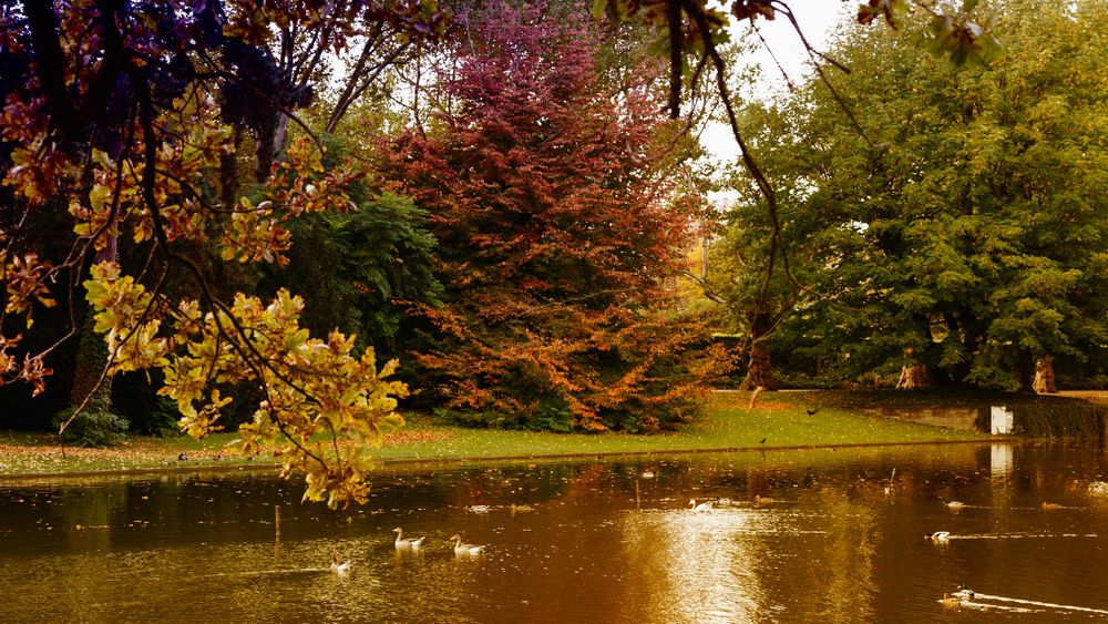 Herbst im Zoo Karlsruhe