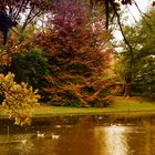 Herbst im Zoo Karlsruhe