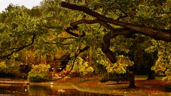 Herbst im Zoo Karlsruhe