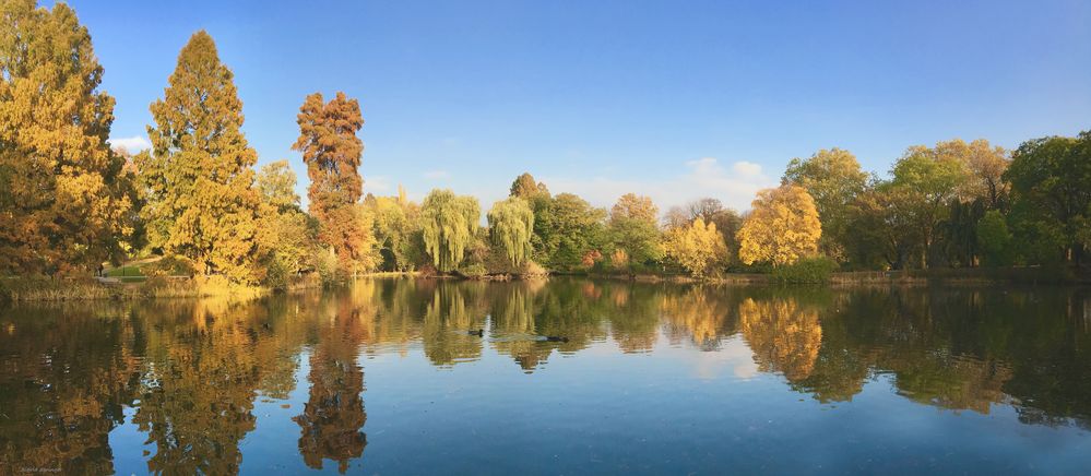 Herbst im Zoopark