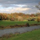 Herbst im Zürcherweinlad