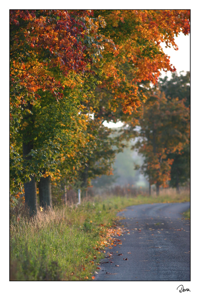 *** Herbst Impresion ***