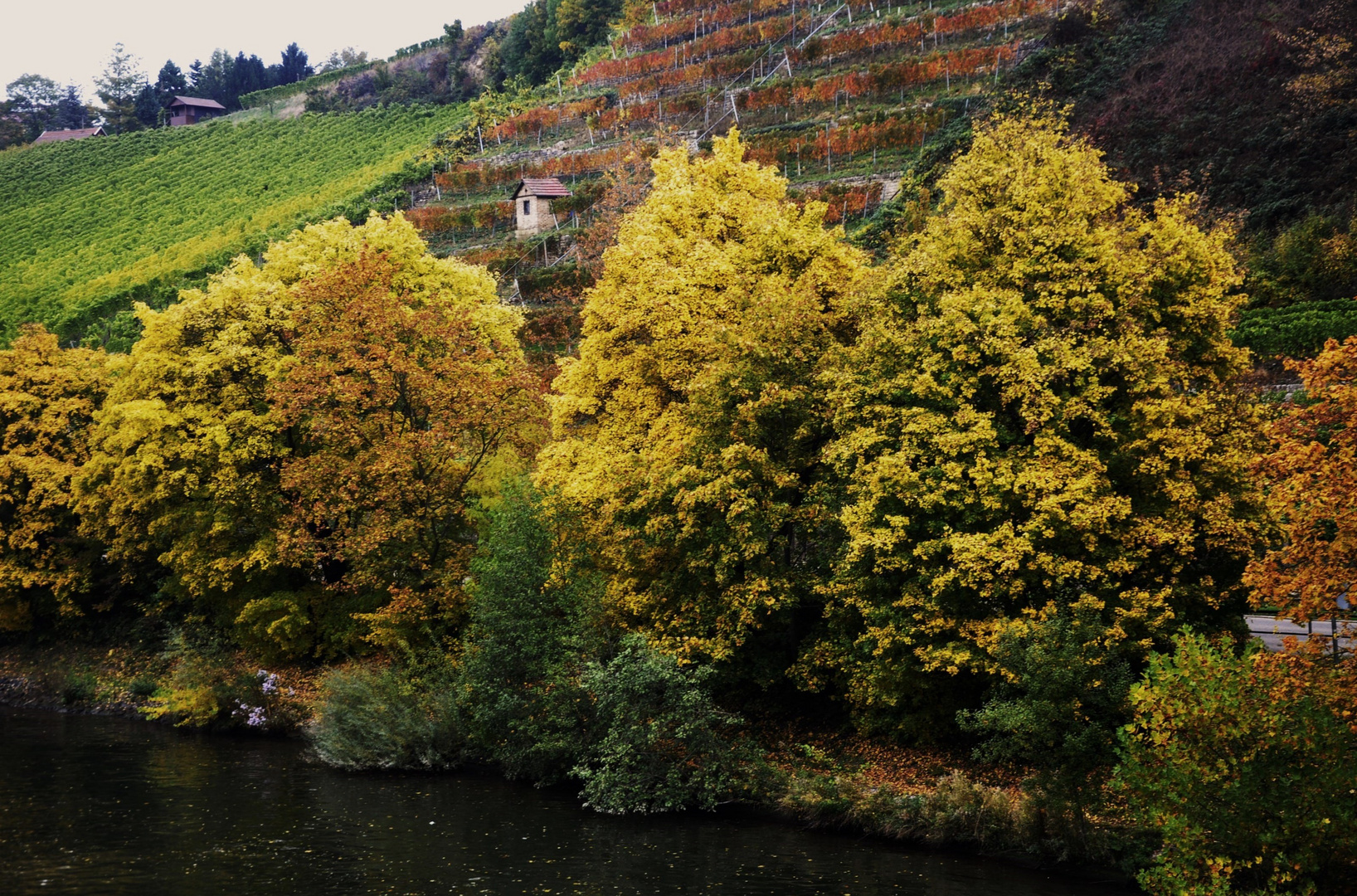 Herbst Impressioenen am Neckar 6