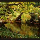 Herbst-Impression 1