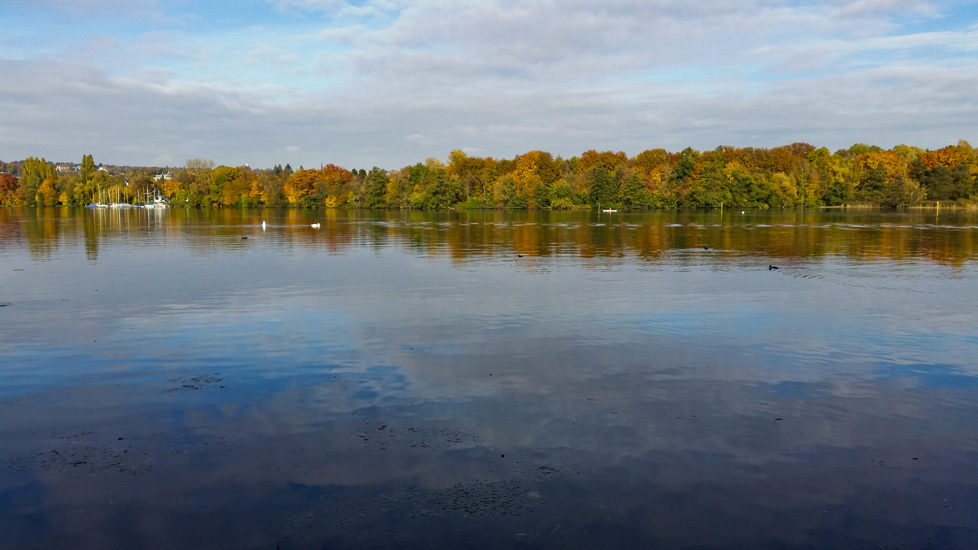 Herbst-Impression 1