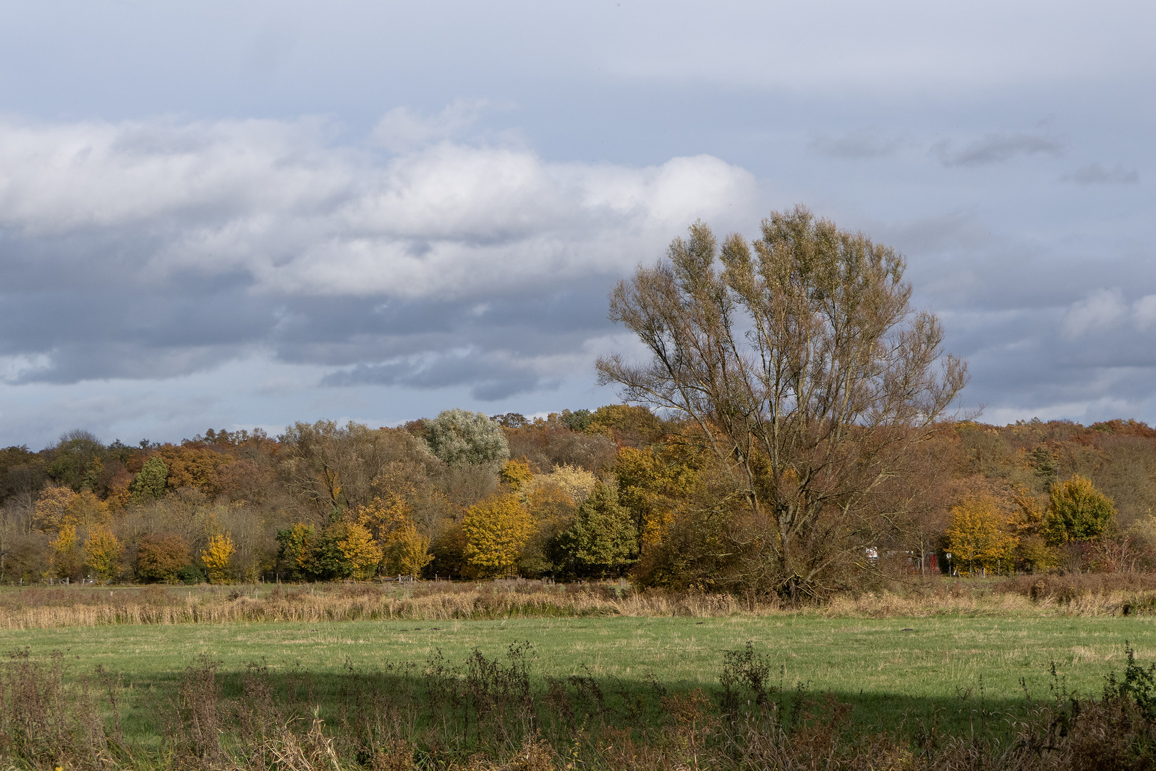 Herbst Impression