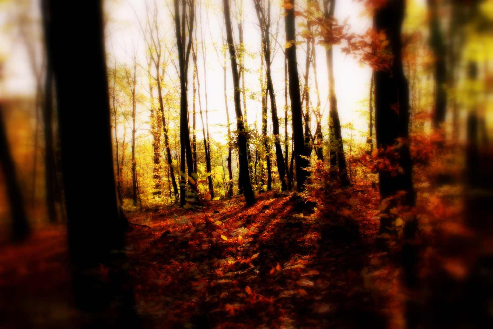 Herbst-Impression