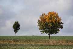 Herbst Impression