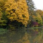 Herbst Impression (2)