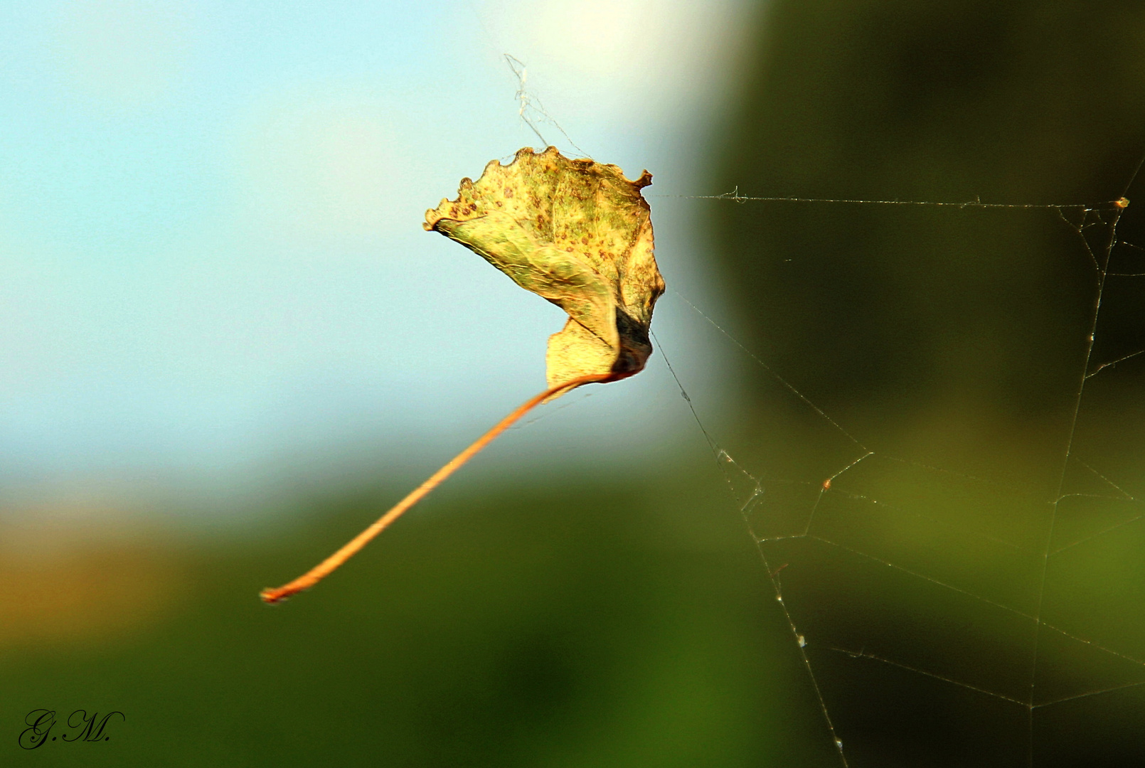 Herbst - Impression