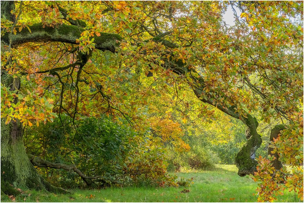 Herbst Impression