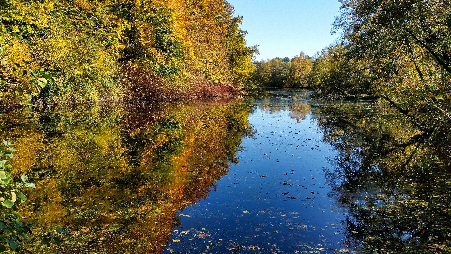 Herbst-Impression 3