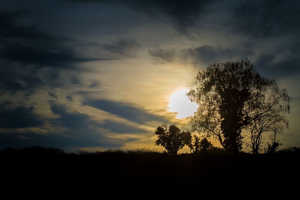 Herbst Impression @50mm