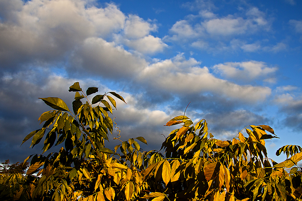 Herbst Impression ...