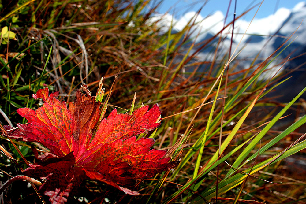 Herbst-Impression