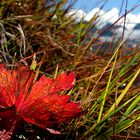 Herbst-Impression