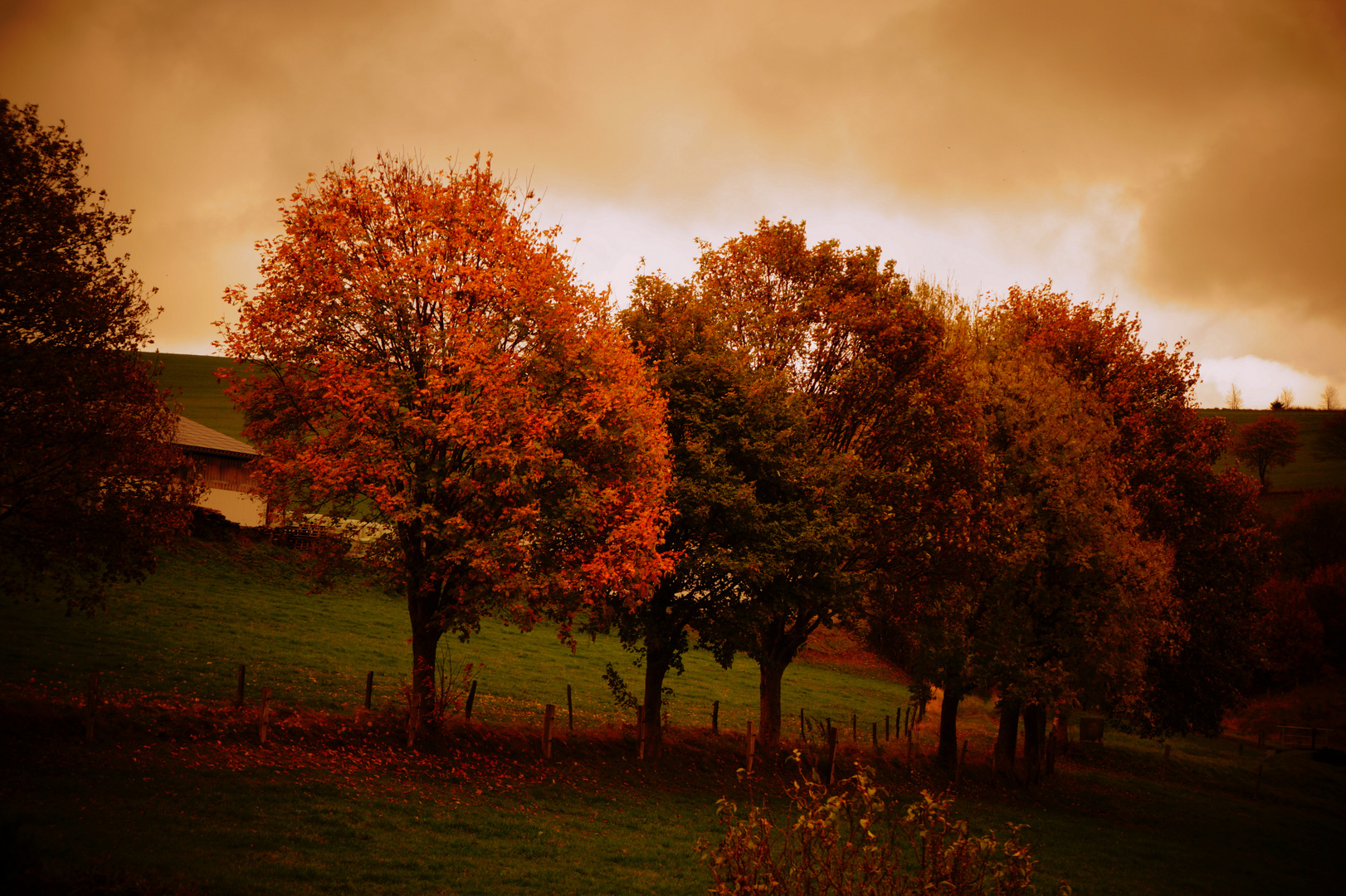 Herbst-Impression