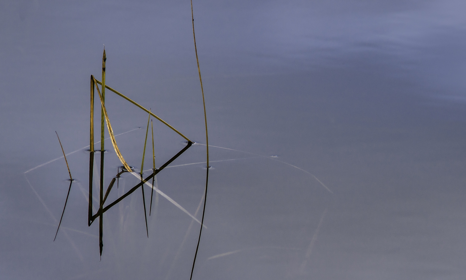 Herbst-Impression am Bergsee