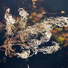 Herbst-Impression an der Wuppertalsperre