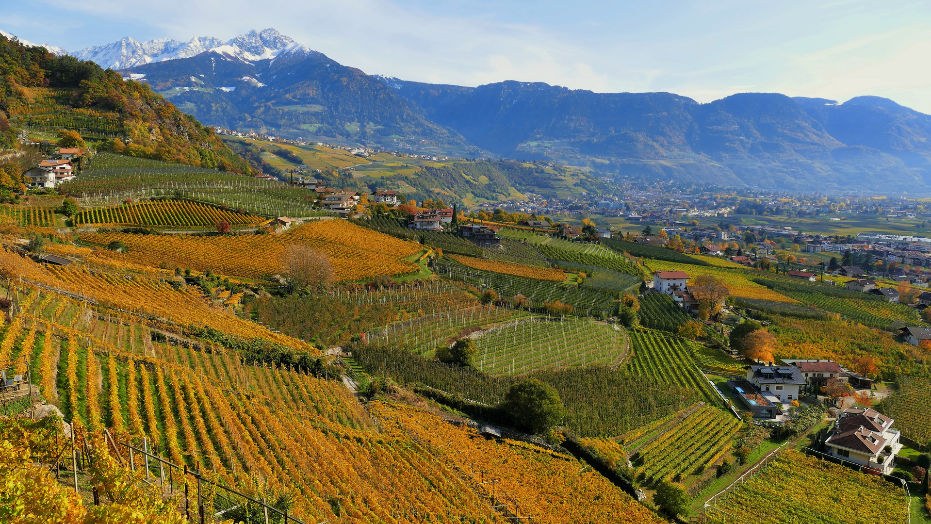 Herbst Impression aus Südtirol