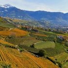 Herbst Impression aus Südtirol