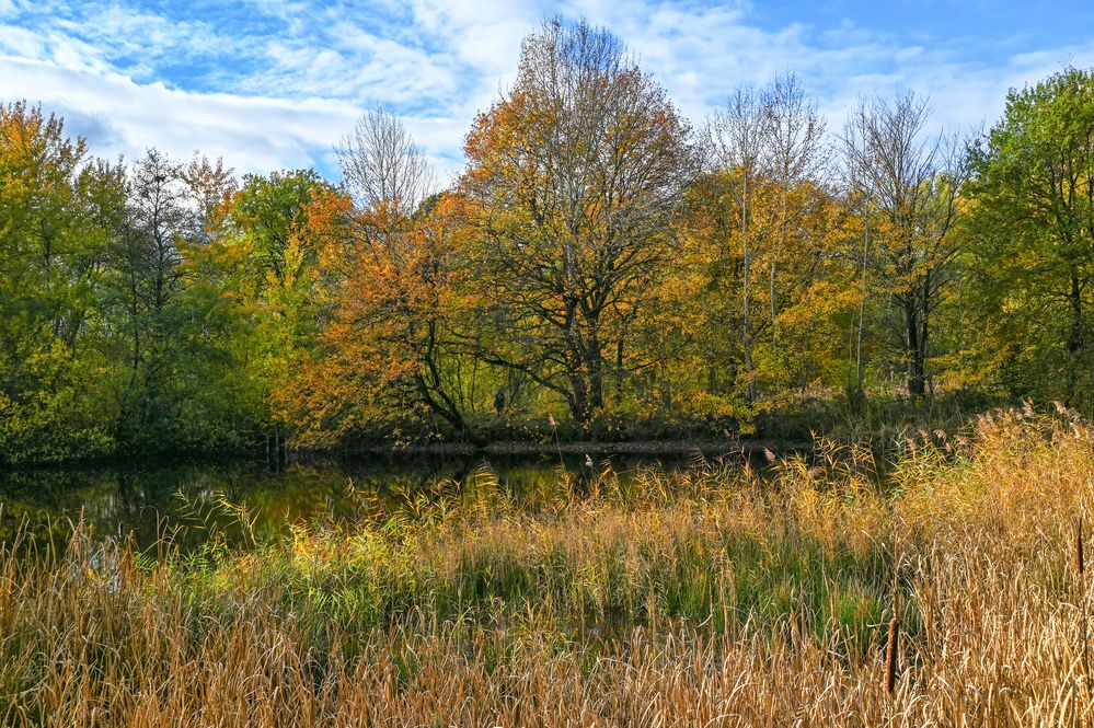 Herbst Impression