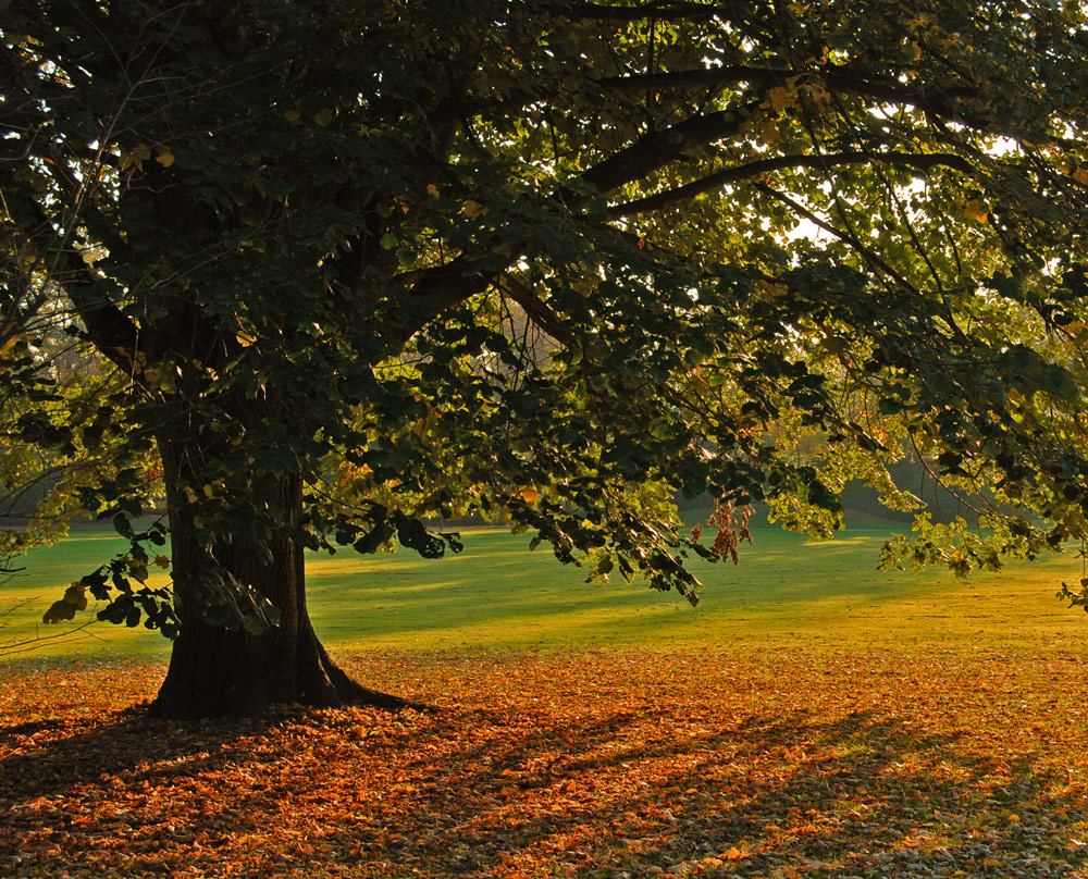 Herbst - Impression