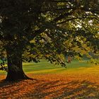 Herbst - Impression