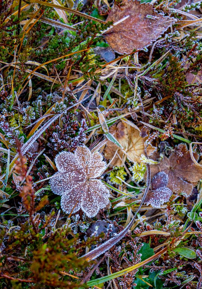 Herbst-Impression