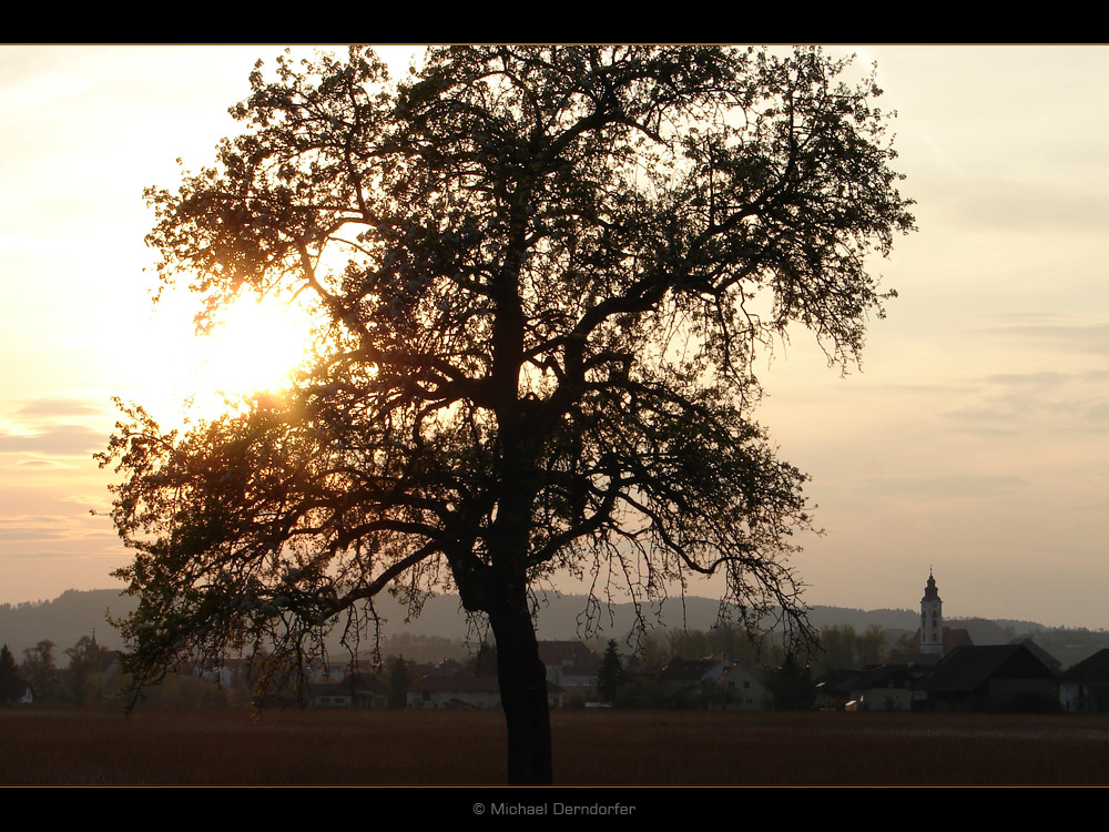 Herbst-Impression