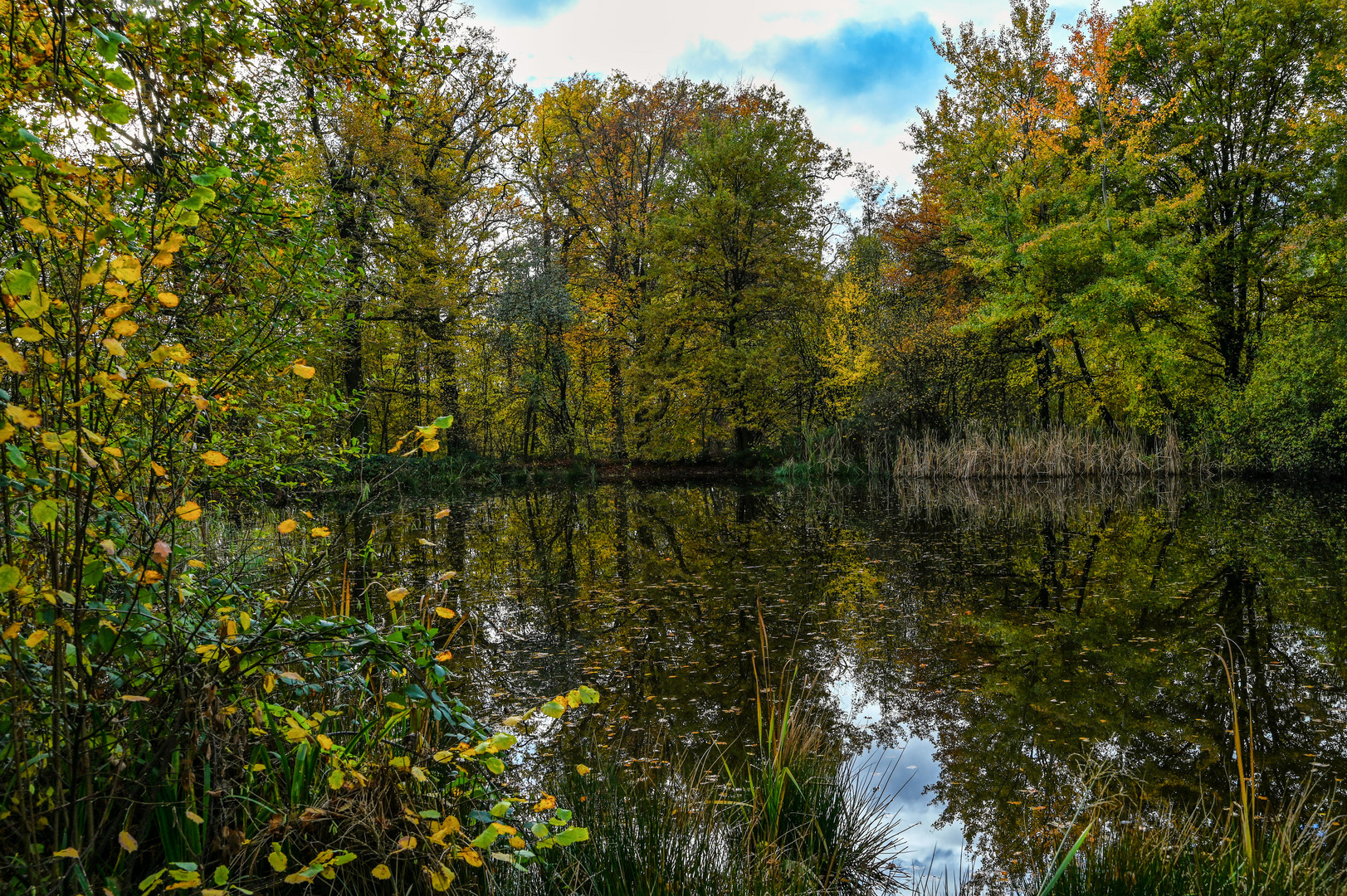 Herbst Impression