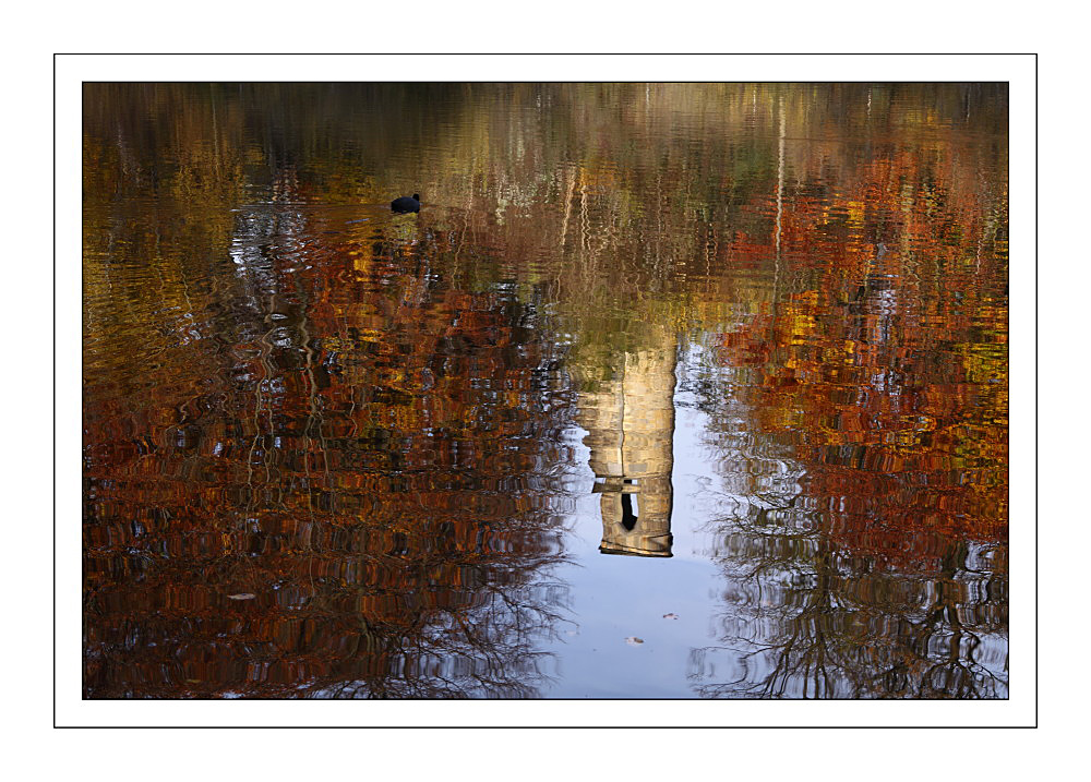 Herbst-impression I