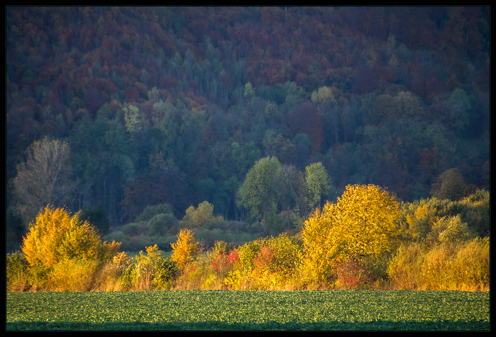 Herbst-Impression im Weserbergland (3-D-Effekt !)