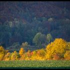 Herbst-Impression im Weserbergland (3-D-Effekt !)