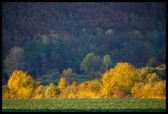Herbst-Impression im Weserbergland (3-D-Effekt !)