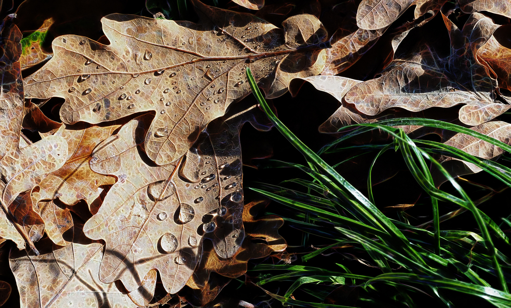 ... Herbst-Impressionen            