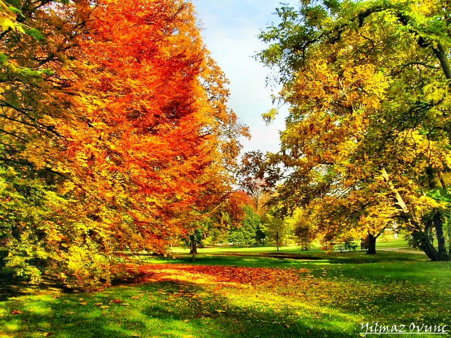 Herbst Impressionen