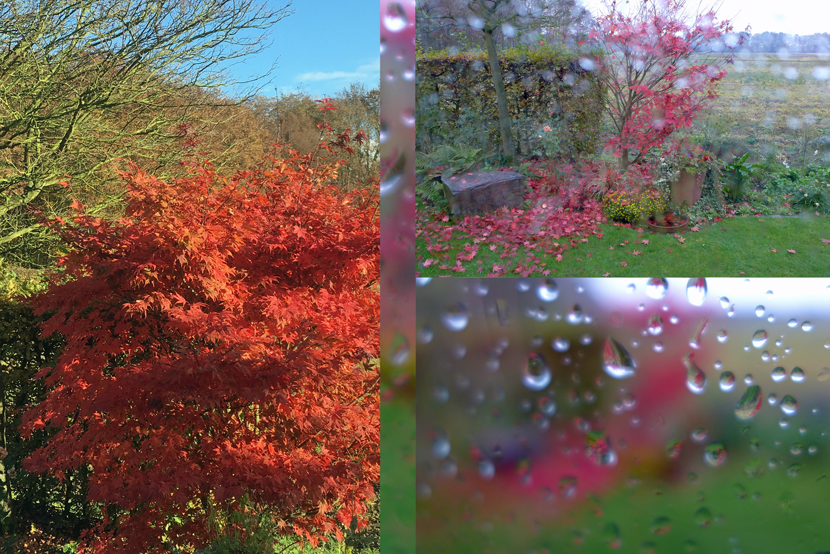 Herbst-Impressionen