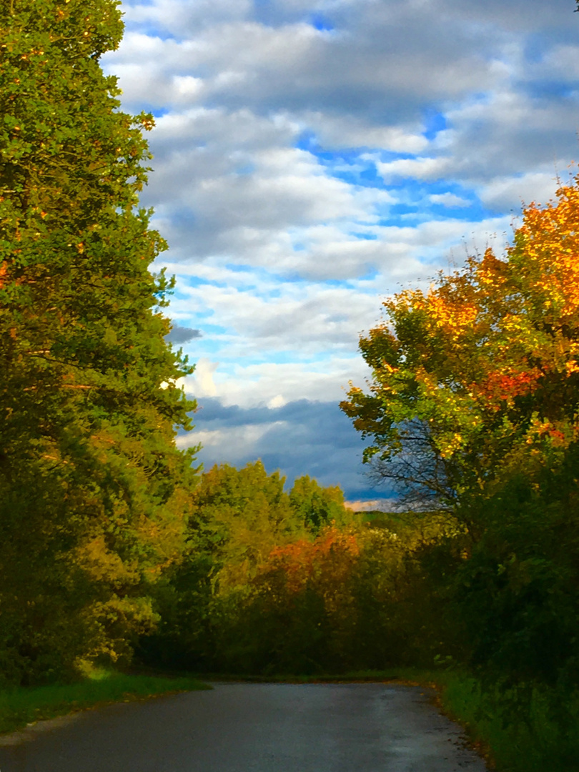 Herbst Impressionen 