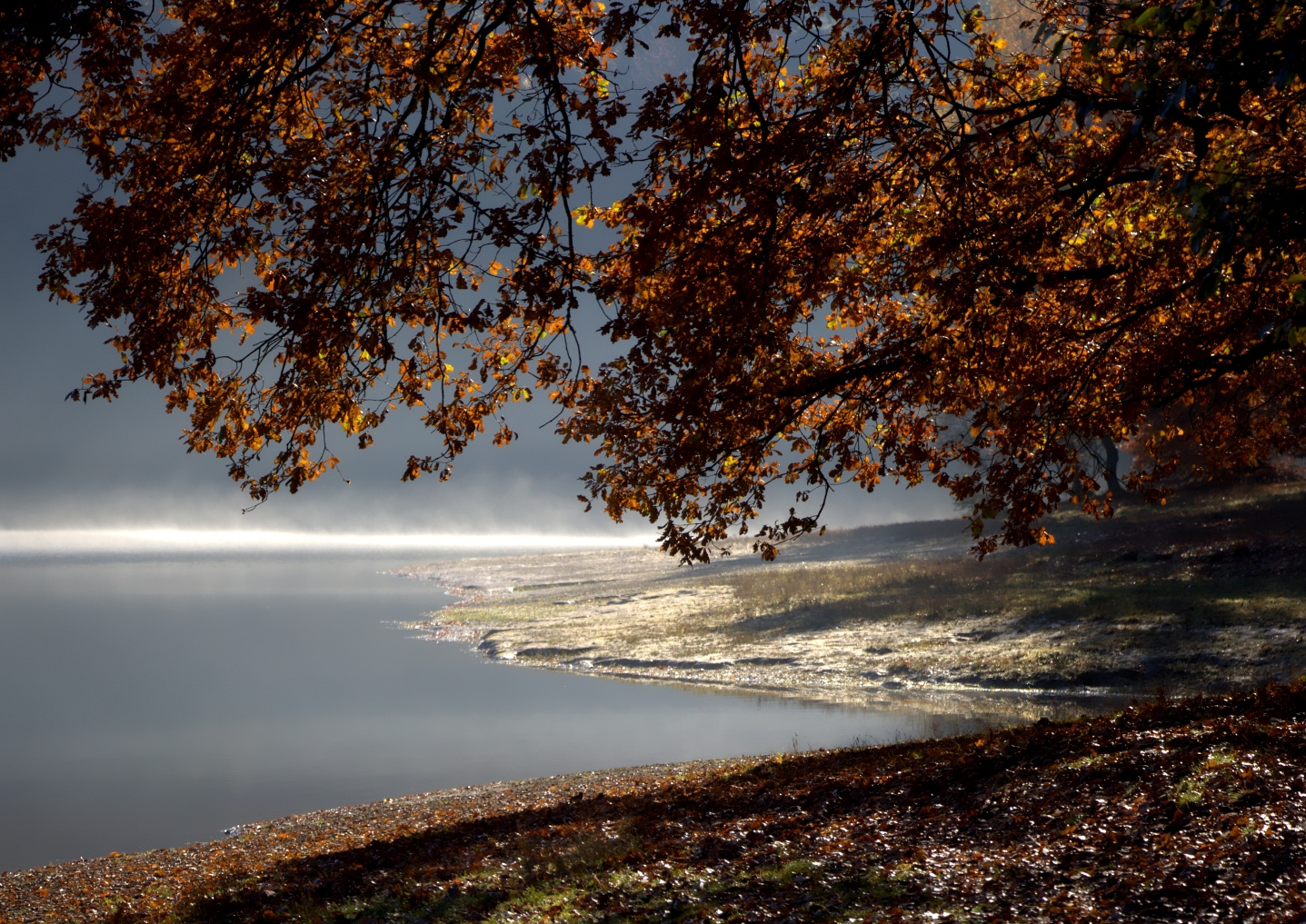 Herbst Impressionen 1