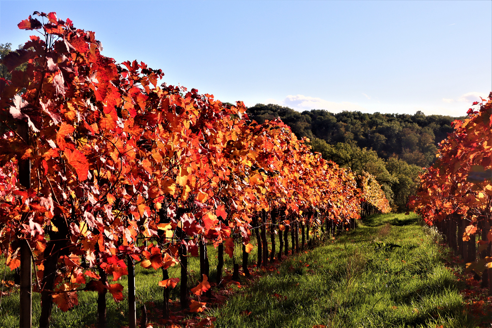 Herbst Impressionen 1