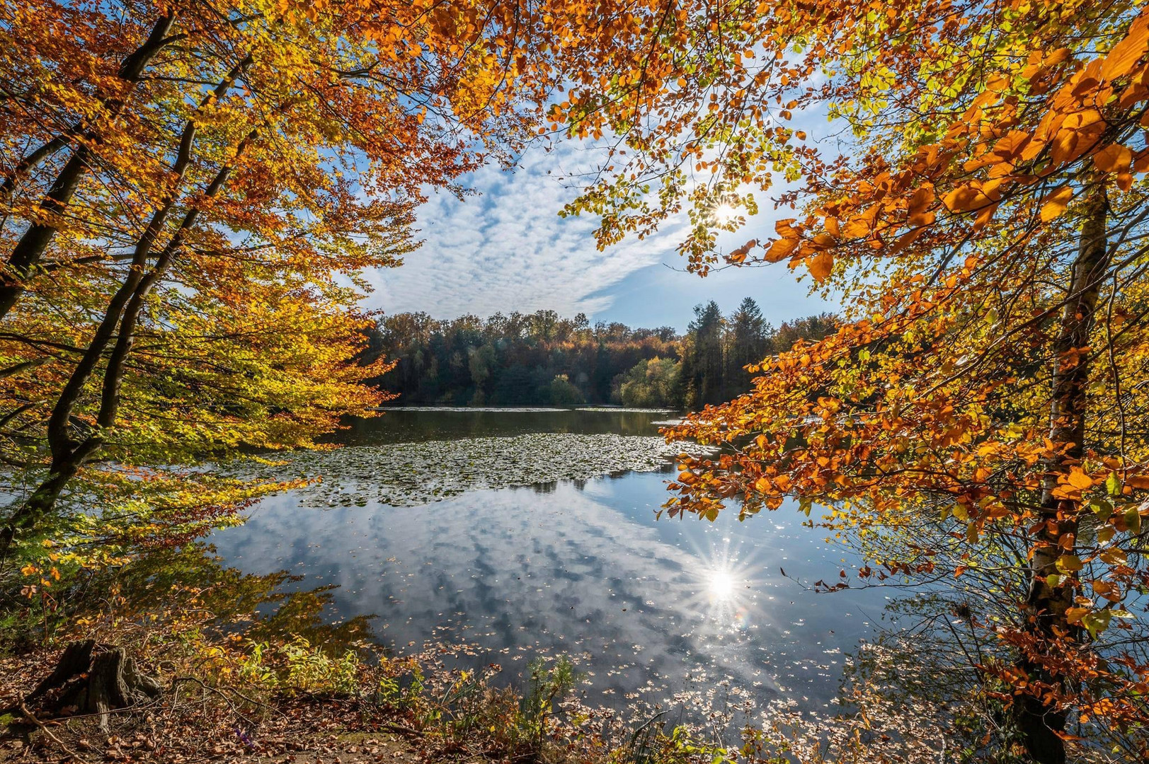 Herbst-Impressionen 1