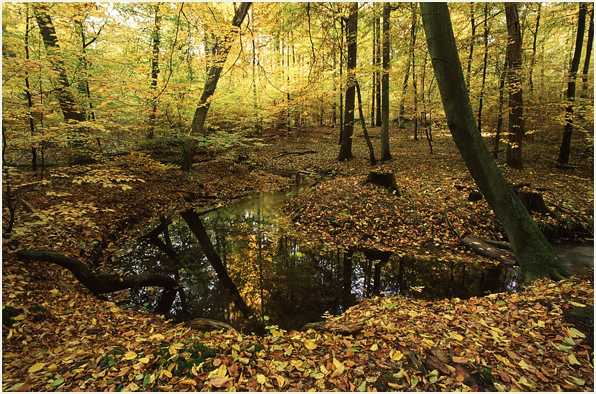 Herbst-Impressionen