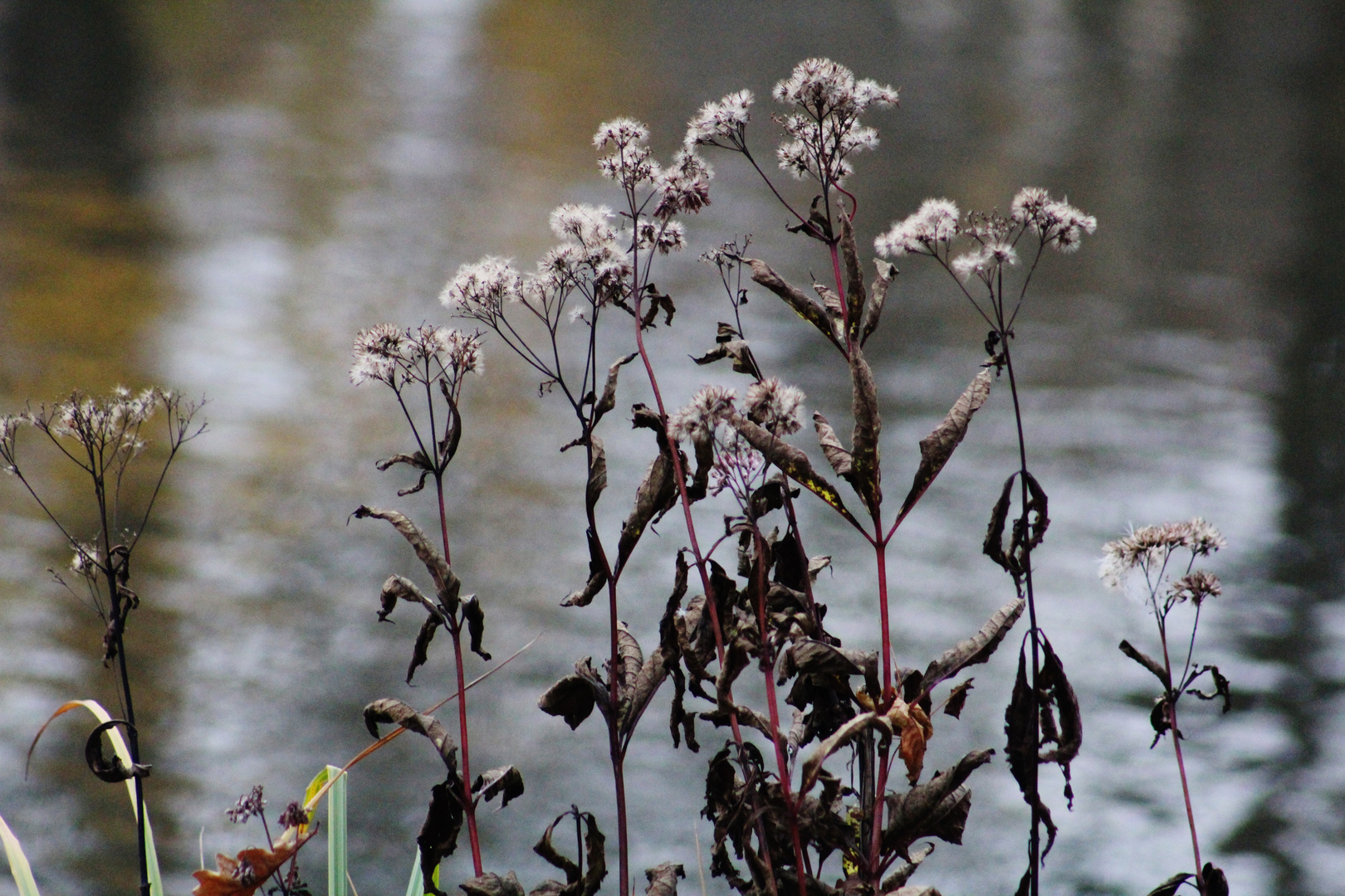 Herbst Impressionen 